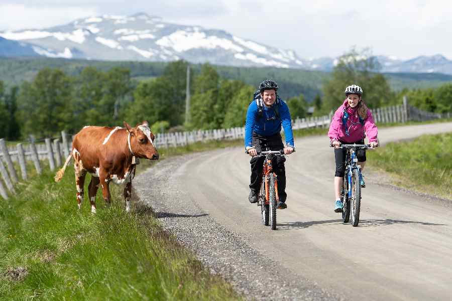 8-daagse Fietsreis Bergen en zomerboerderijen in Valdres